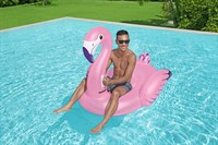 Badedyr, Bestway swimmingpool (flamingo)