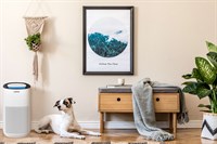 Luftrenser, eeese luftrenser/-affugter - Vigga