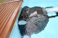 Robotstøvsuger, Swim & Fun swimmingpool - 230V (elektrisk)